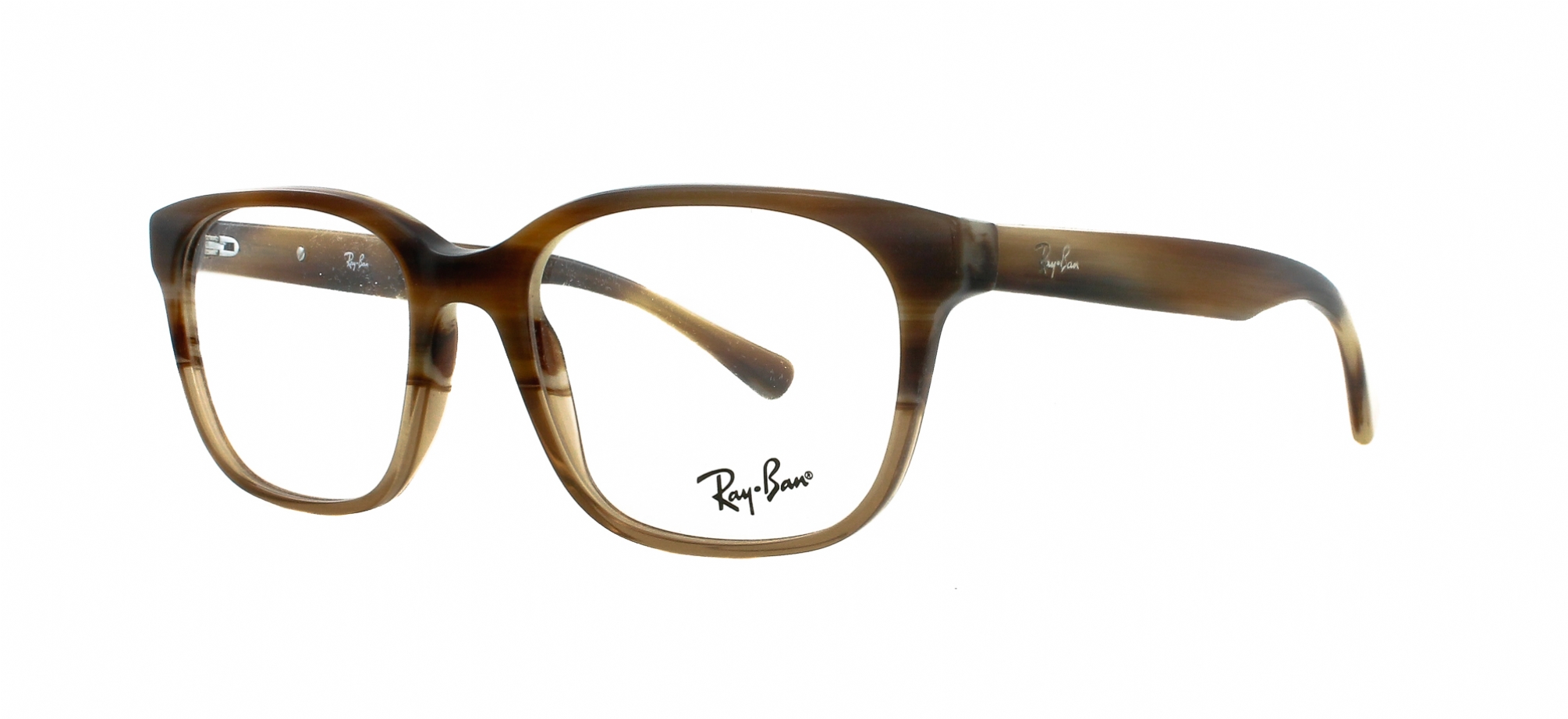 RAY BAN 5340 5542