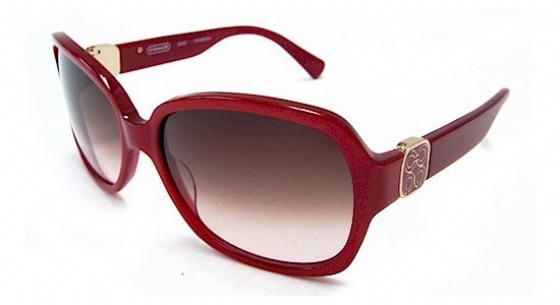 coach sunglasses s2020