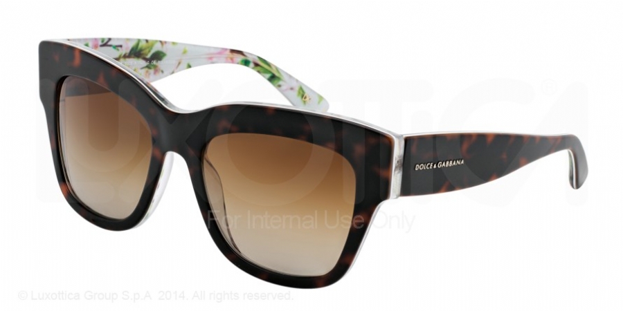 DOLCE GABBANA 4231 2841T5