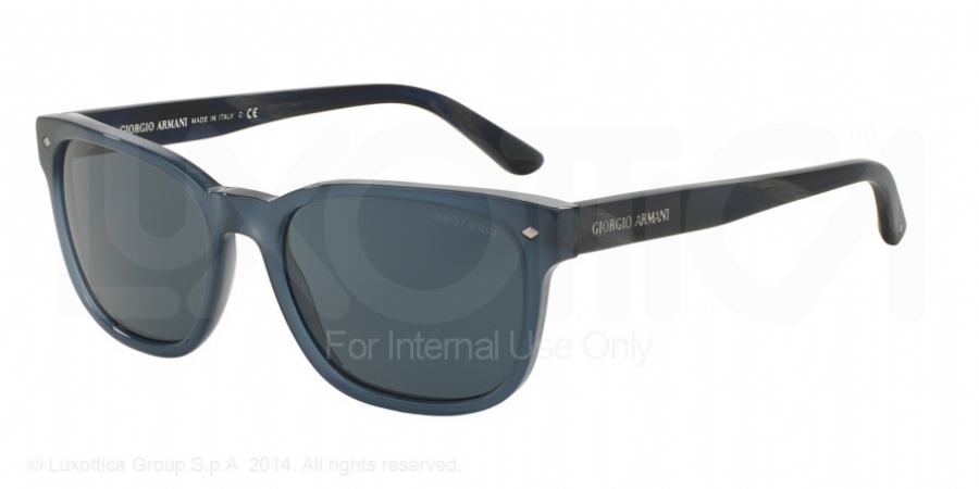 GIORGIO ARMANI 8049F 5360R5