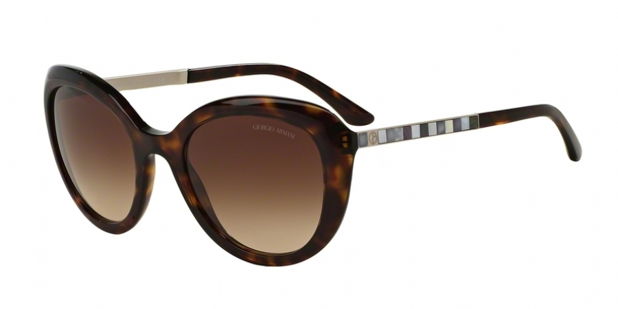 GIORGIO ARMANI 8065HF 502613