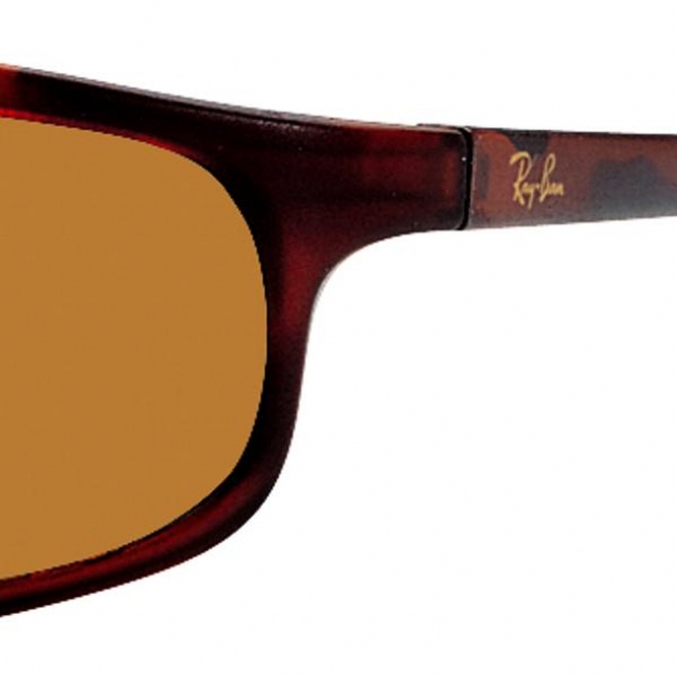 RAY BAN 2030 W3102