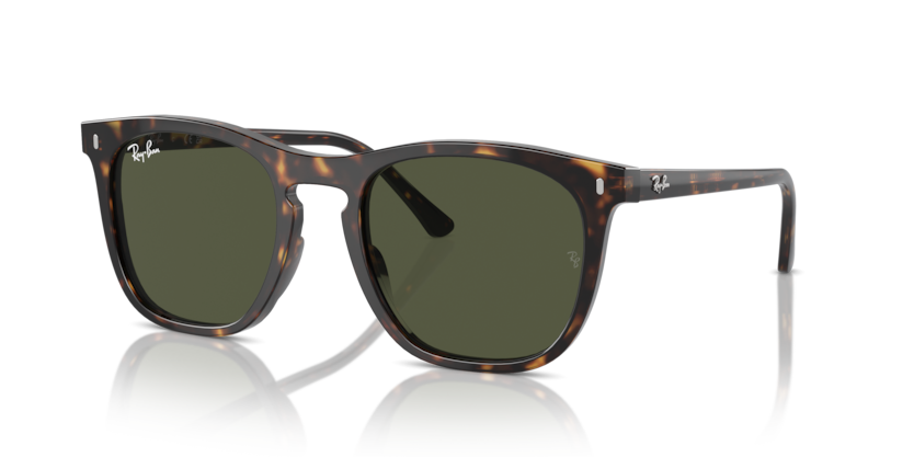 RAY BAN 2210F 90231