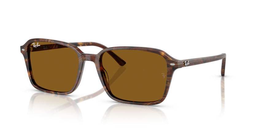 RAY BAN 2231F 141833