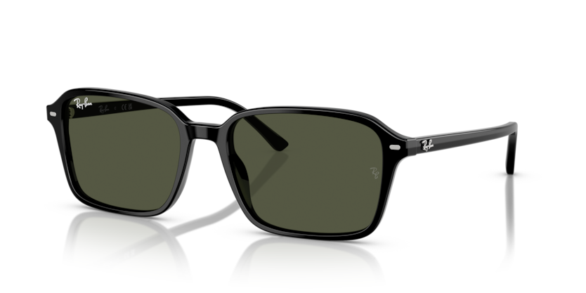 RAY BAN 2231F 90131