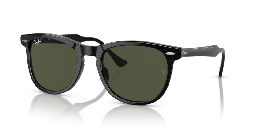 RAY BAN 2398F 90131