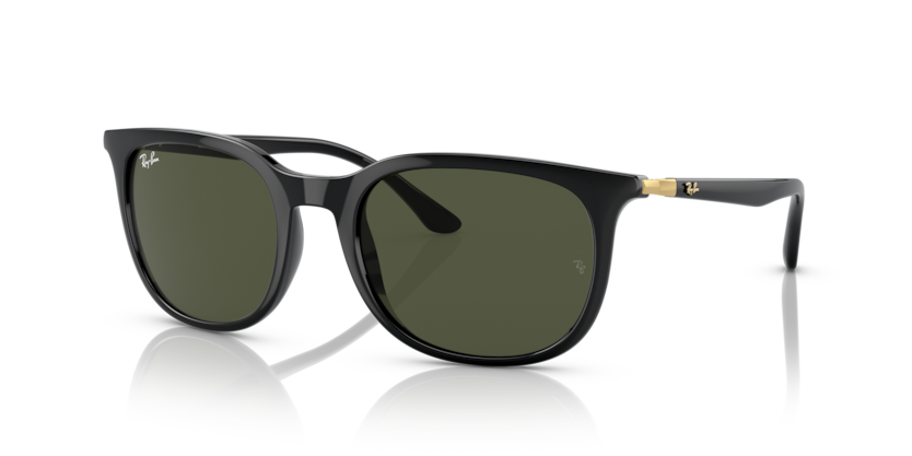 RAY BAN 4386 60131