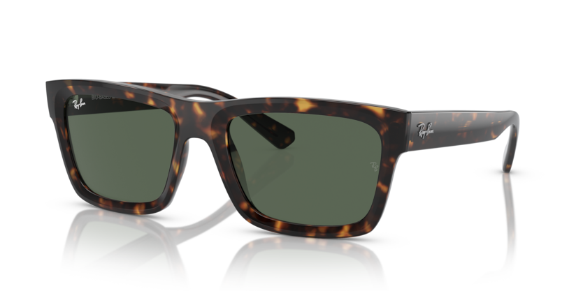 RAY BAN 4396F 135971