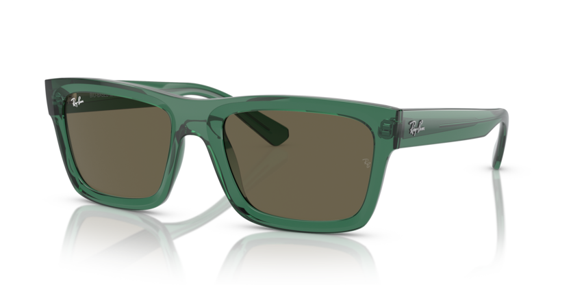 RAY BAN 4396F 66813