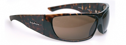 RUDY PROJECT KAOS TURTLE-GLOSS-BROWN