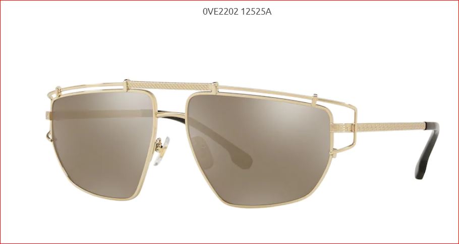 VERSACE 2202 12525A